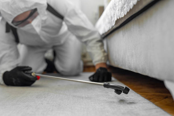 Professional Termite Control technician working in Medina, TX